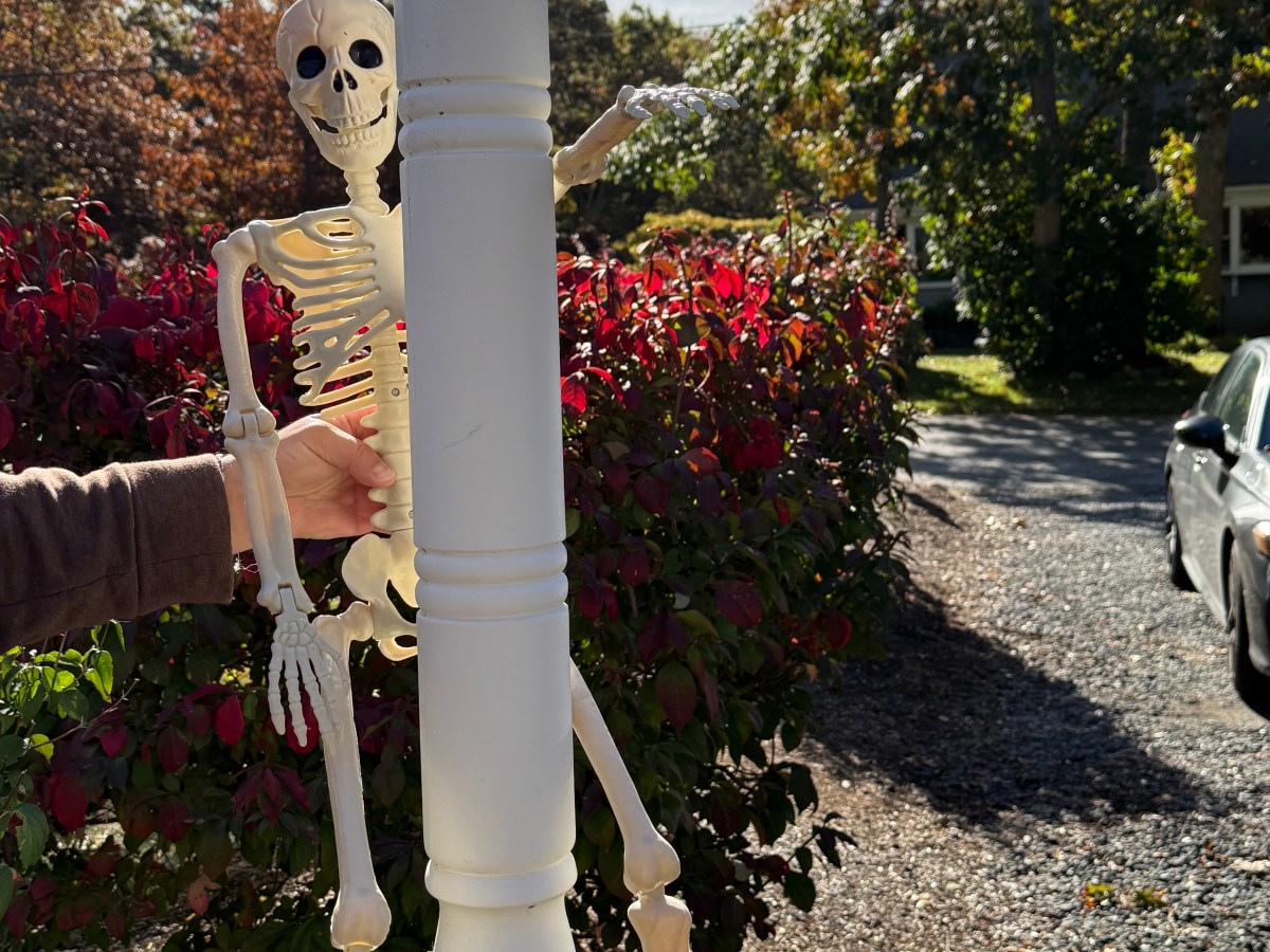 Plotting Vs. Pantsing